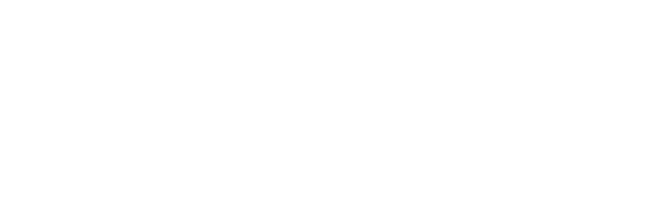 Shipsi whiteBT